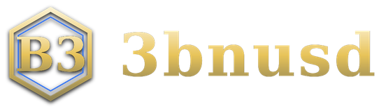 3bnusd logo